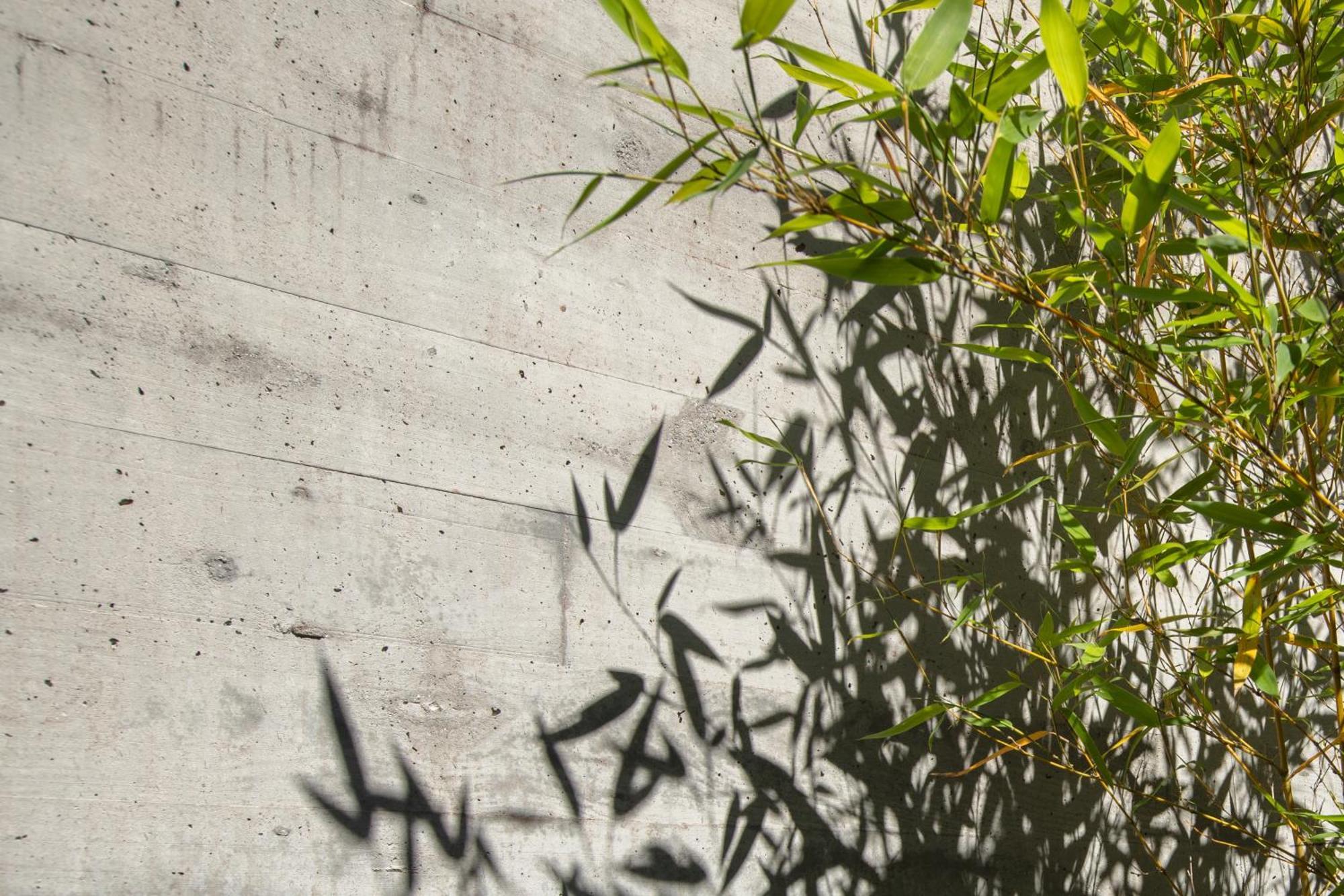 Villa Con Piscina Y Jardin, Santiago De Compostela Teo Екстериор снимка